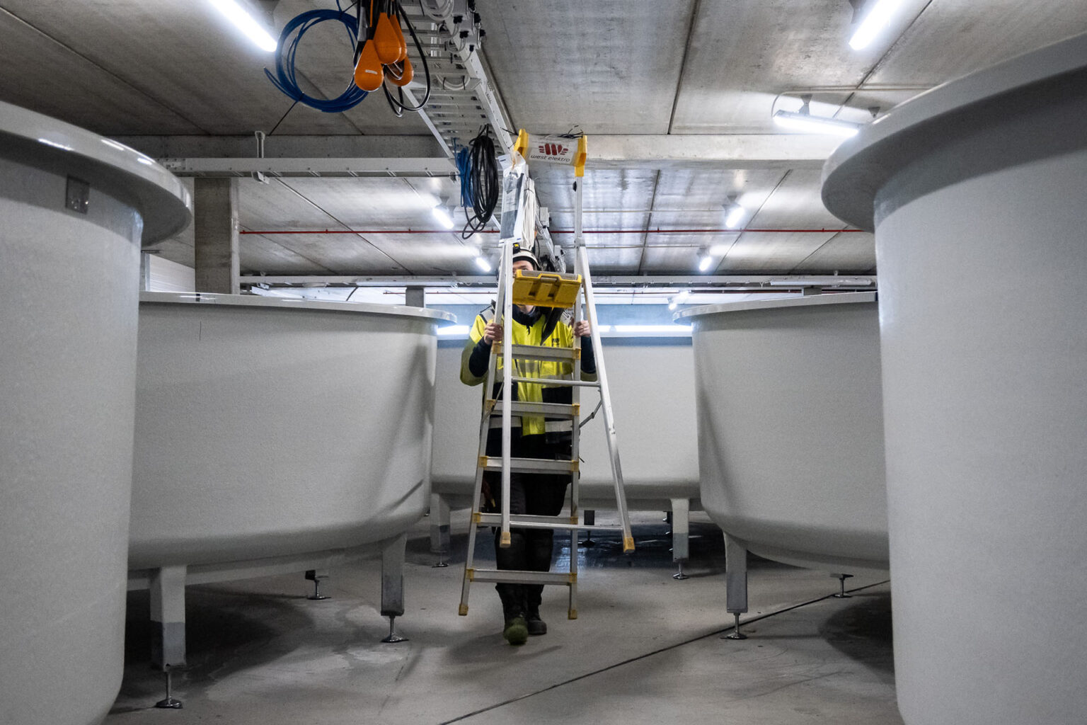 Nordic Halibut i Tingvoll | Elektro, IT og automasjon fra NEAS
